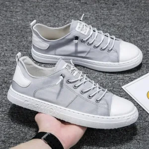 Demoshoes Men Casual Canvas Shoes