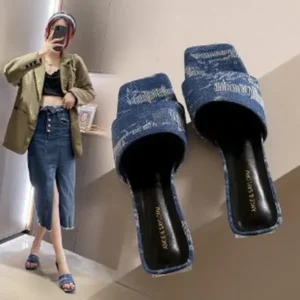 Demoshoes Women Fashion Casual PU Denim Square Toe Chunky Heel Slippers